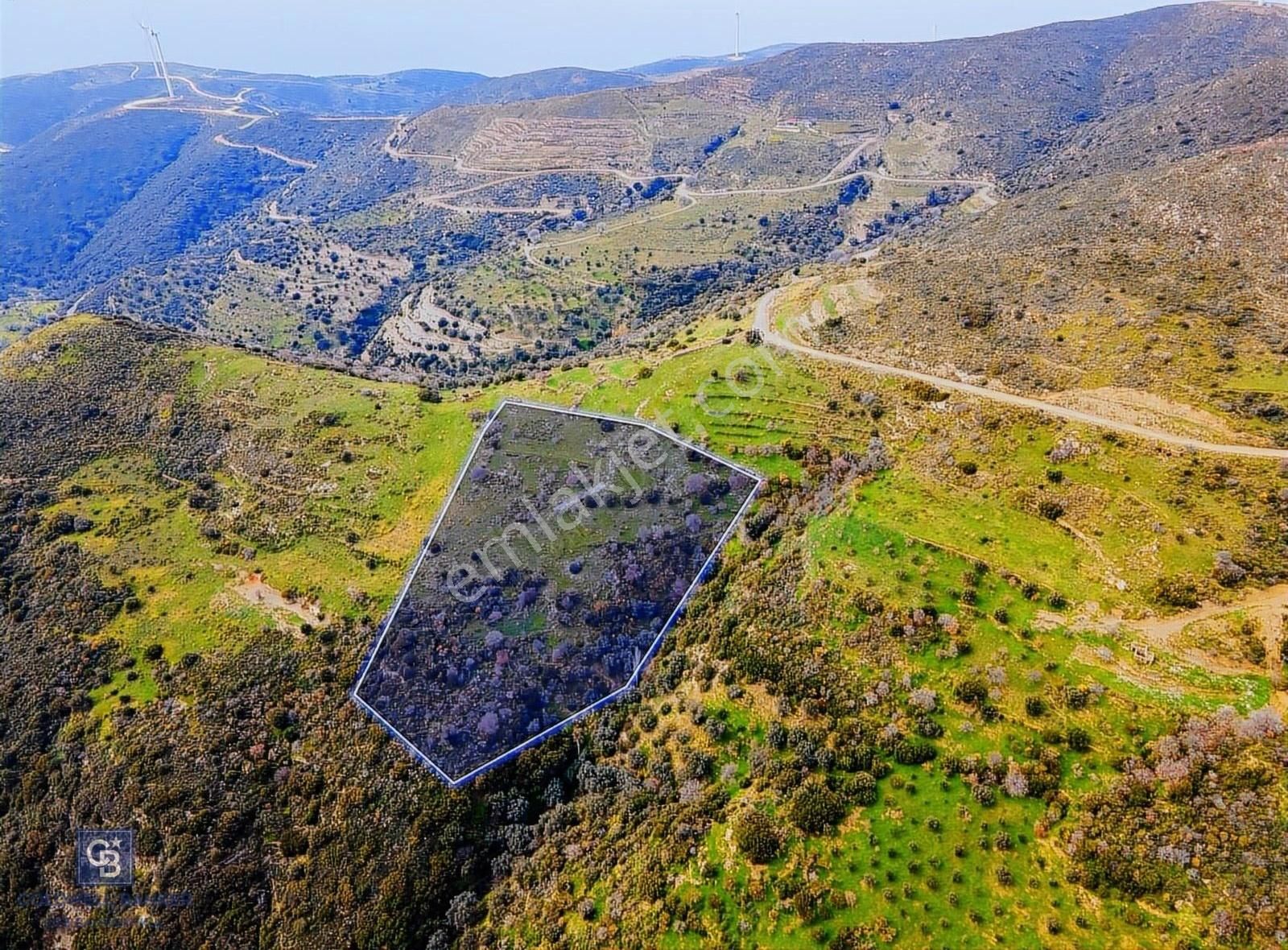 Karaburun Sarpıncık'ta 11.719 M2 Satılık Tarla