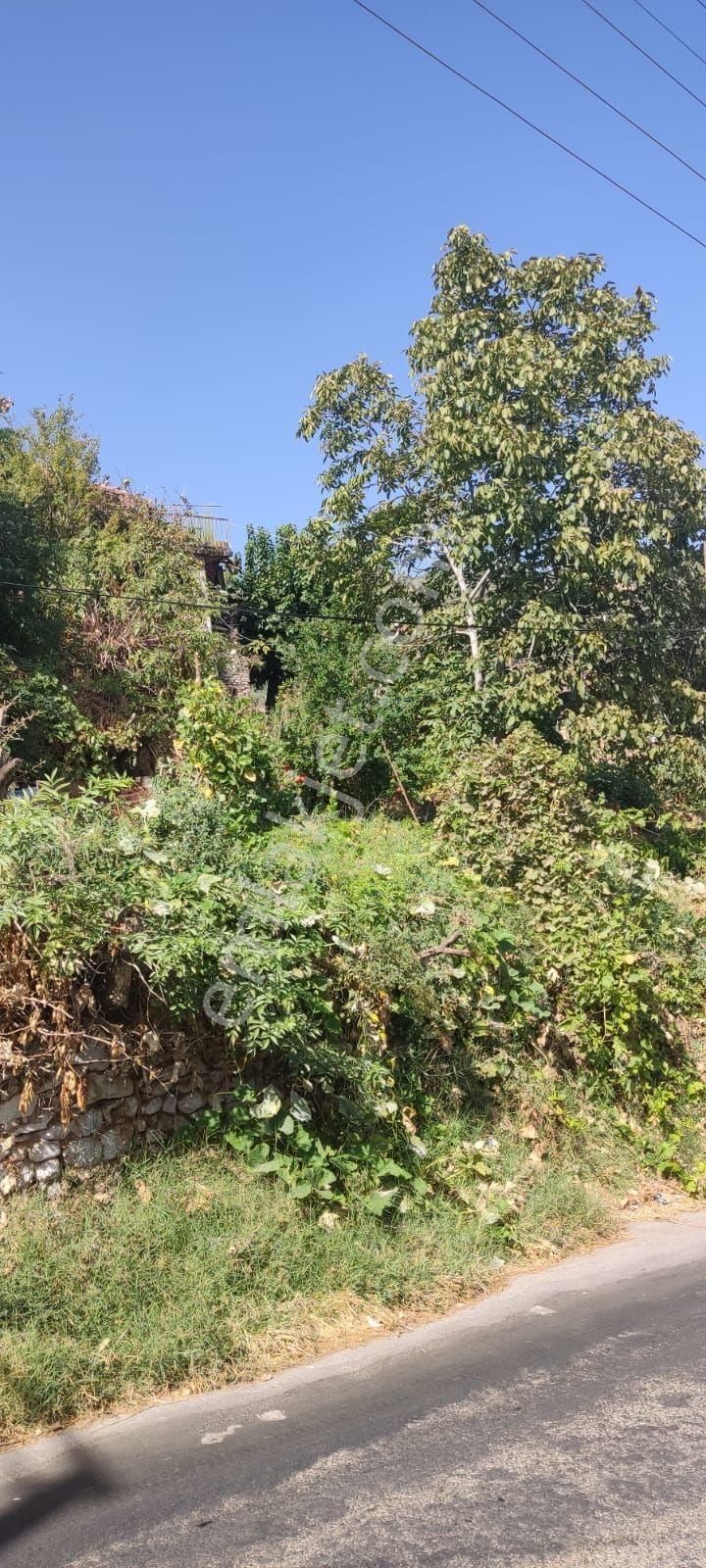 Acil Satılık