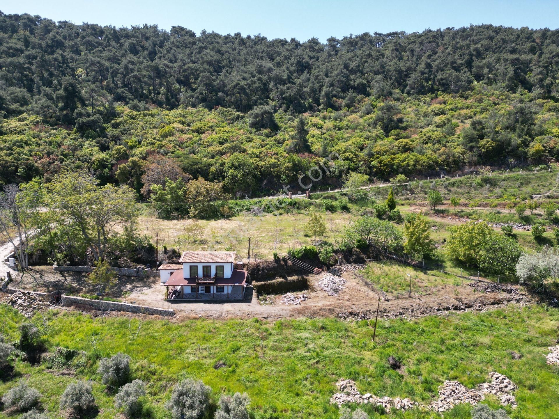 Selçuk Şirince’de Satılık Dubleks Ahşap Evli Müstakil Tarla