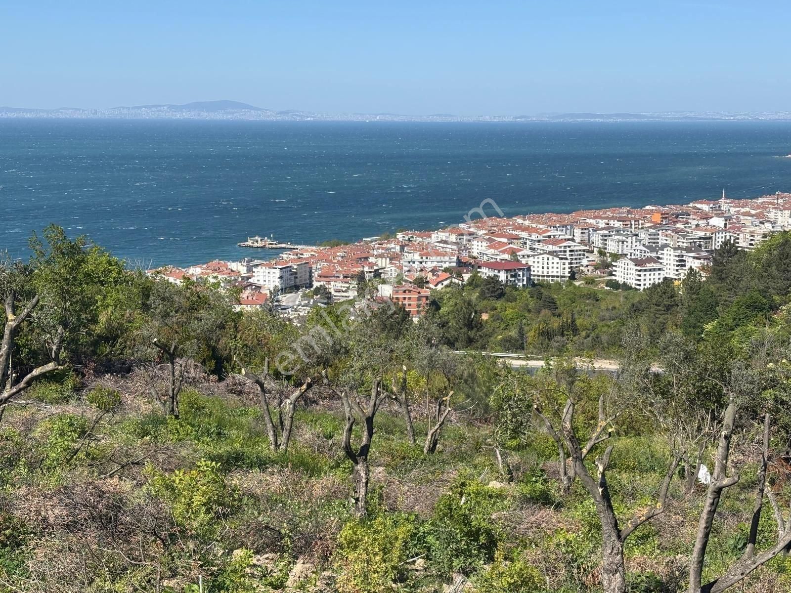 Yalova Çınarcık’ta Doğayla İç İçe Yatırımlık Tarla – 1.976 M²
