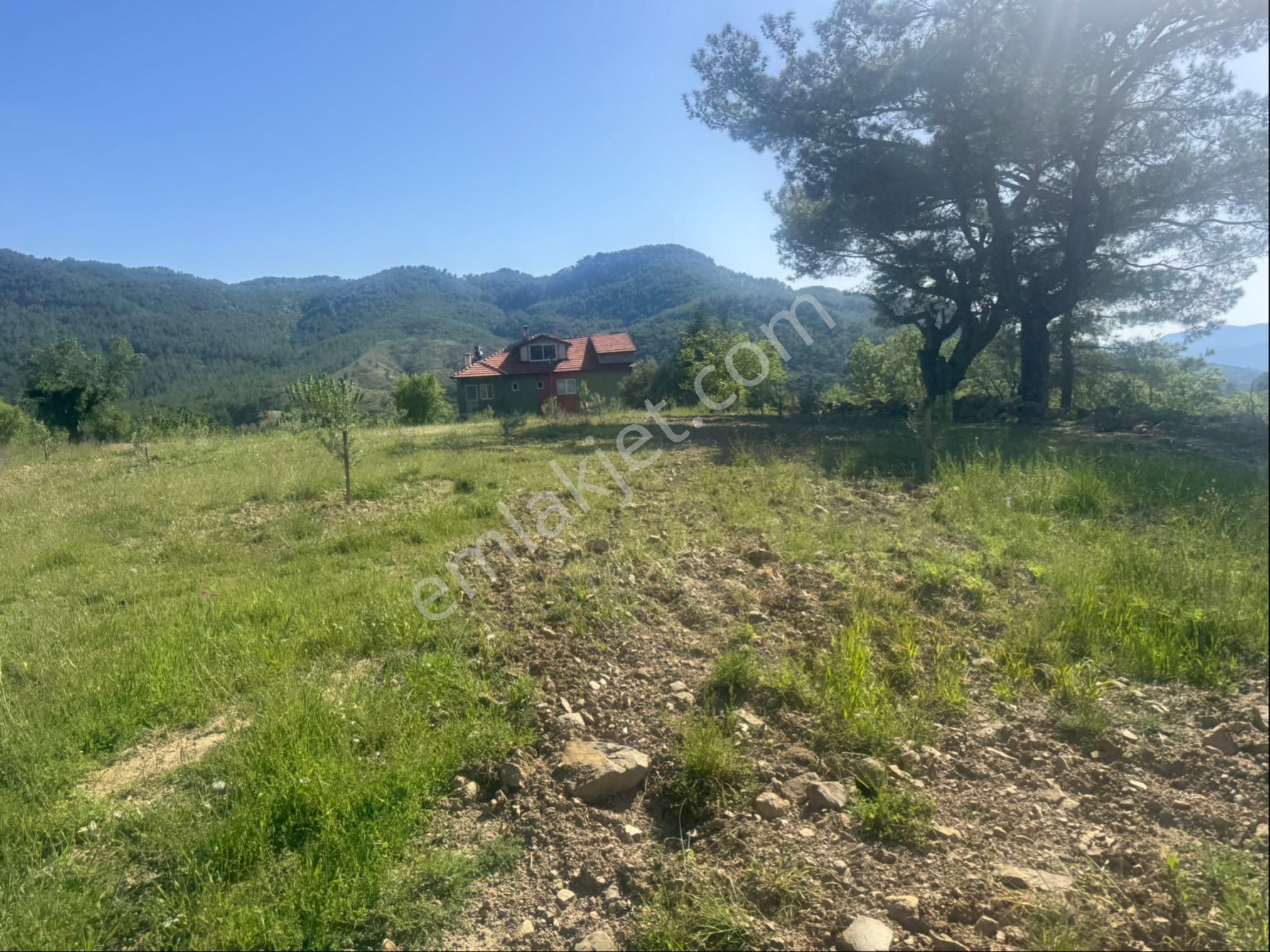 Günel Emlaktan Satılık Tarla Kadastro Yolu Vardır