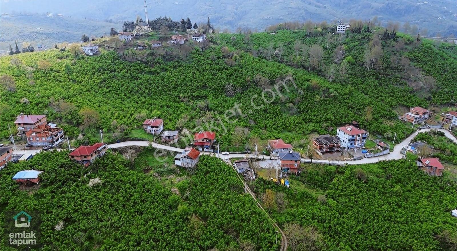 Fatsa Büyükkoç Mah. Satılık Ev Ve Bahçesi - Görsel 20