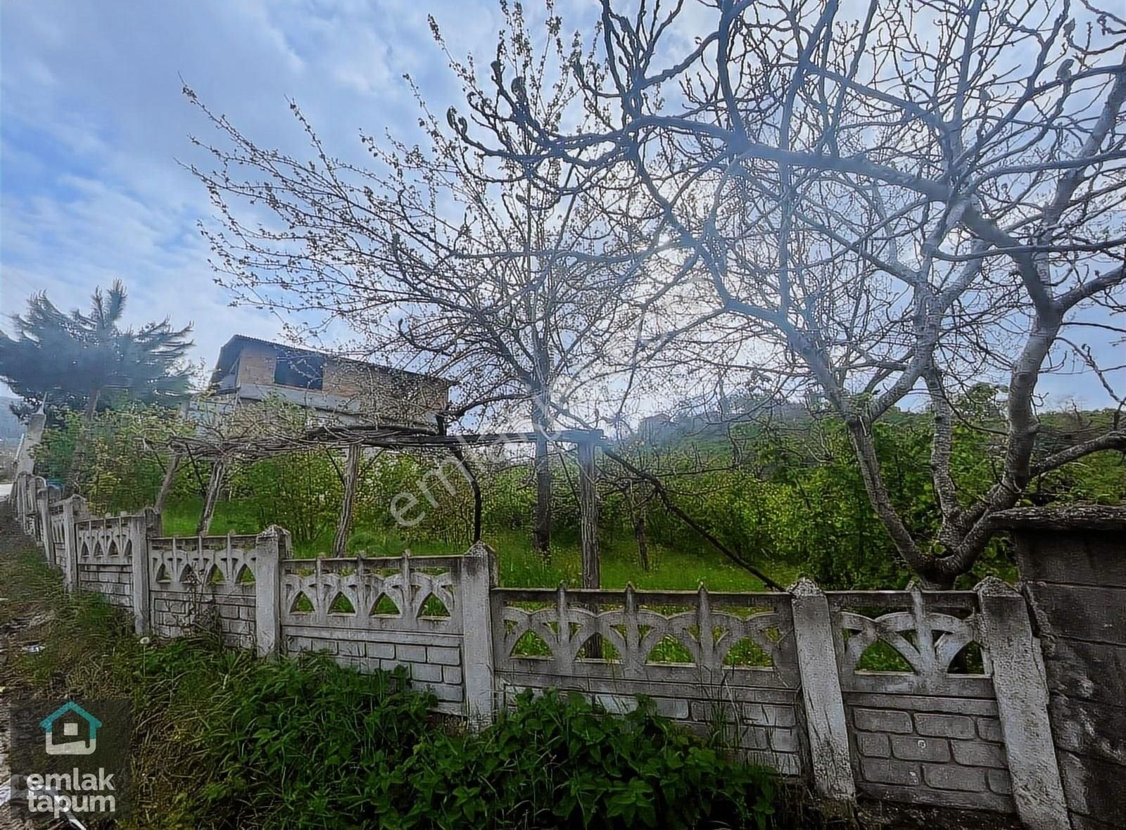 Fatsa Büyükkoç Mah. Satılık Ev Ve Bahçesi - Görsel 26