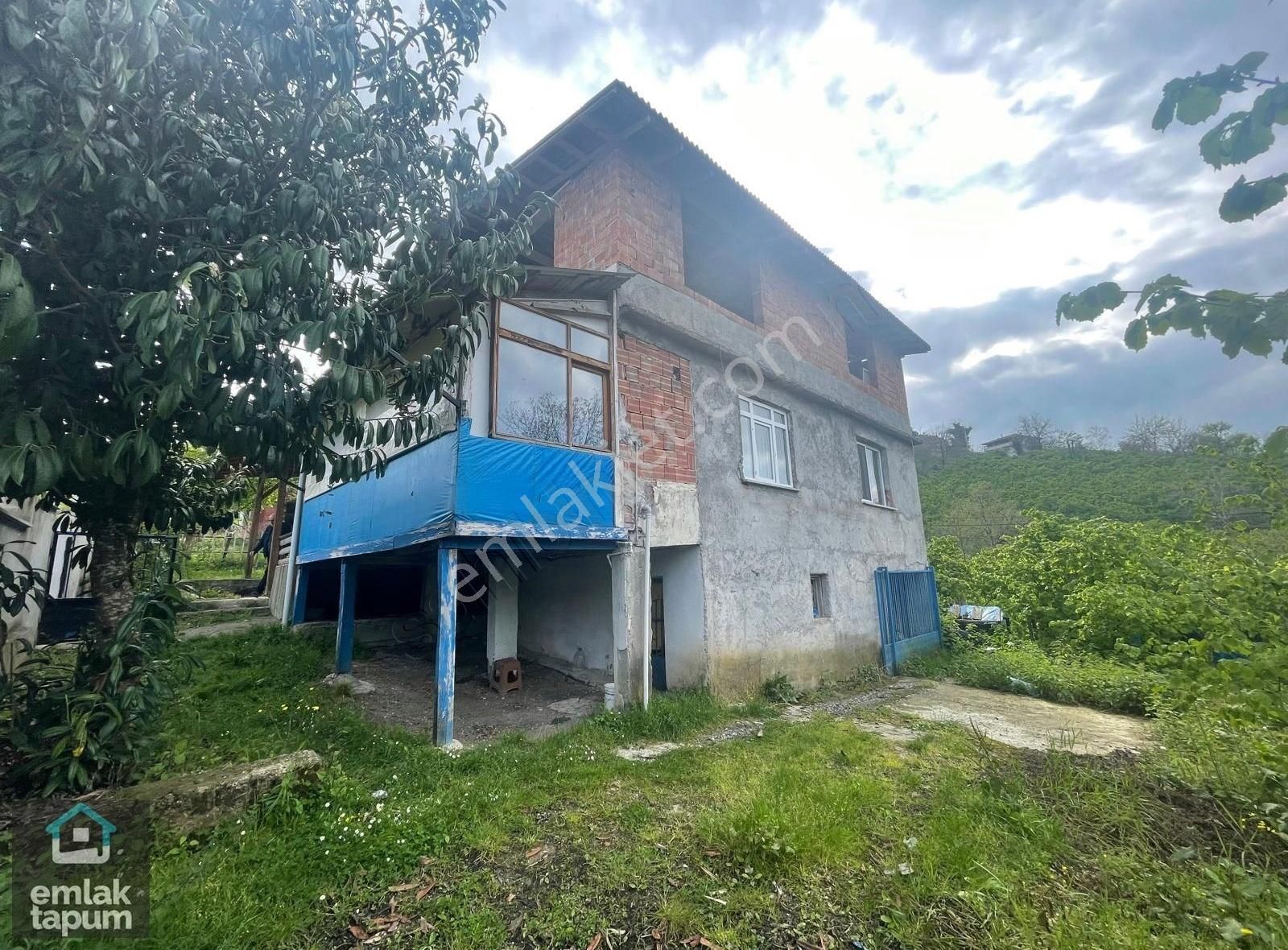Fatsa Büyükkoç Mah. Satılık Ev Ve Bahçesi - Görsel 9