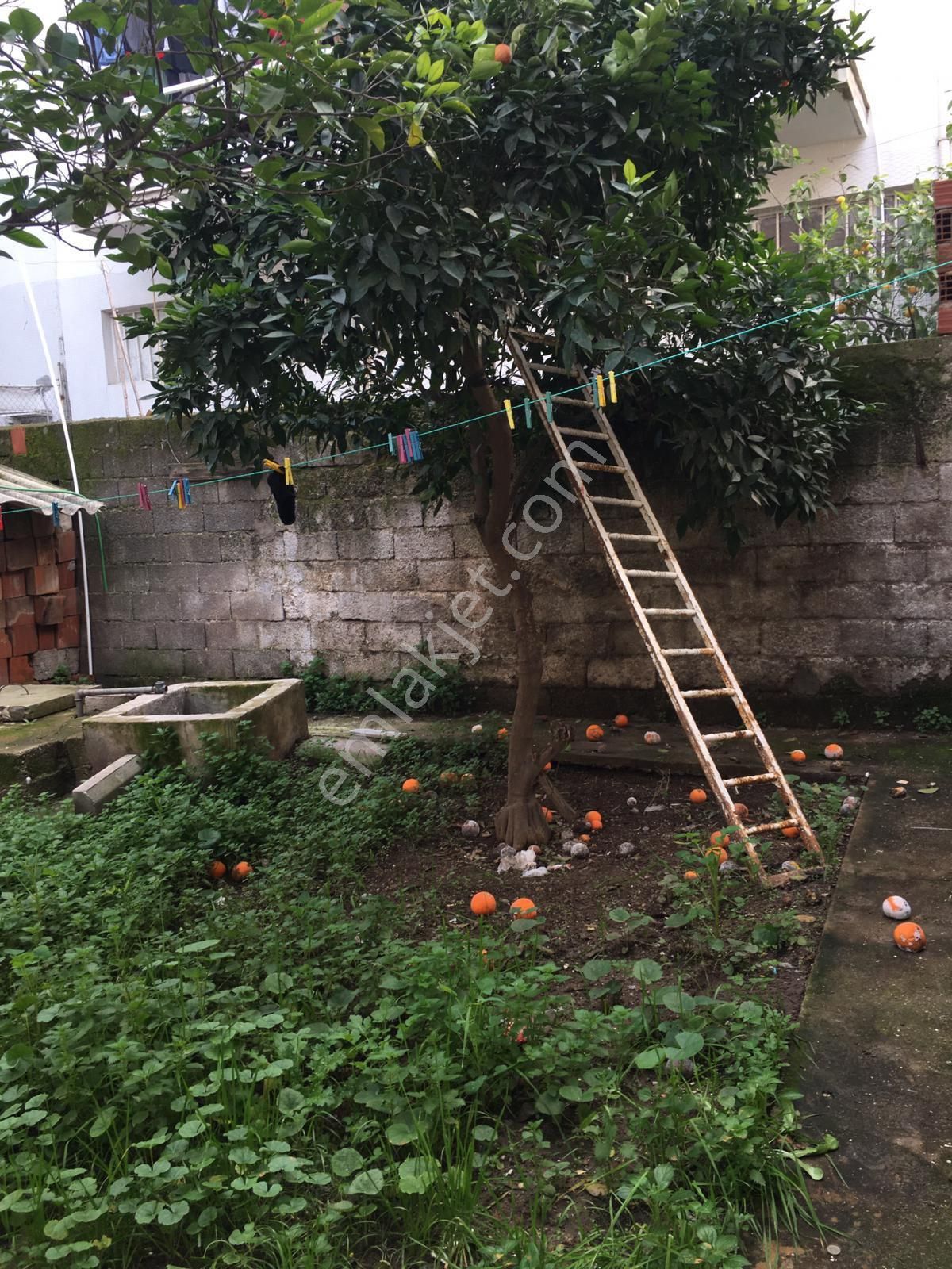 Bahçeli Evim Olsun Diyenler İçin - Görsel 29