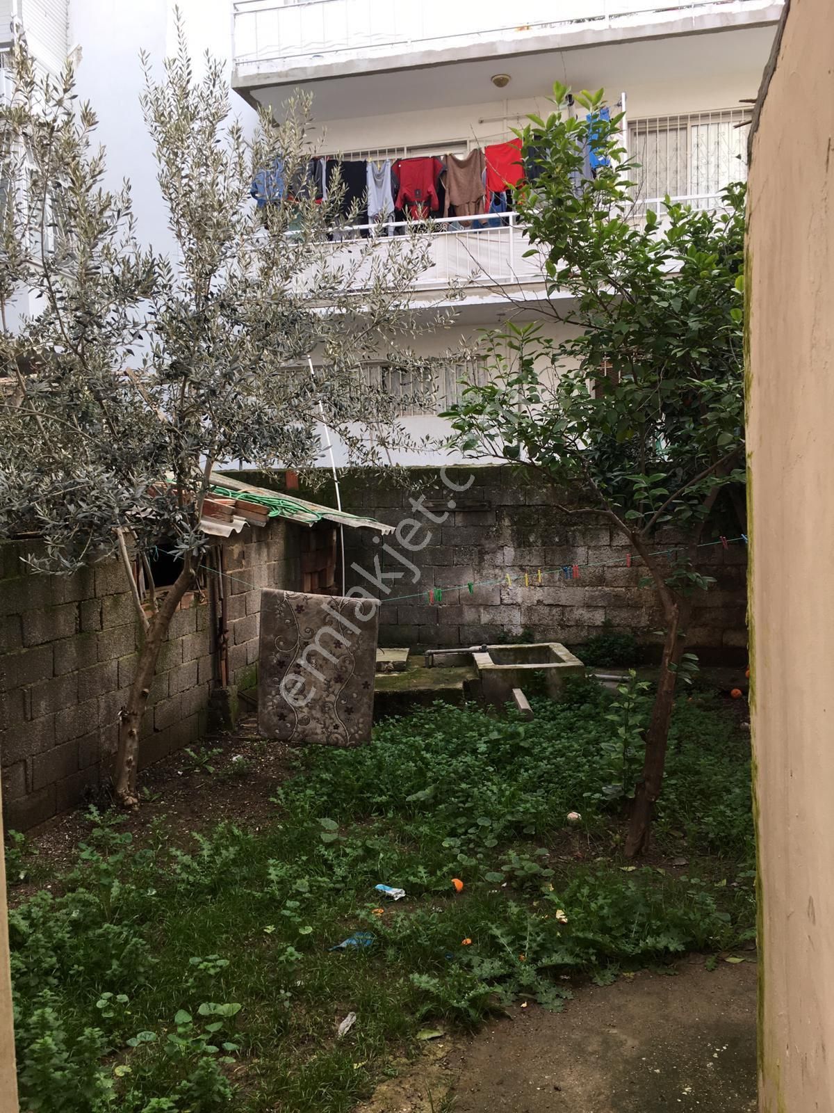 Bahçeli Evim Olsun Diyenler İçin - Görsel 27