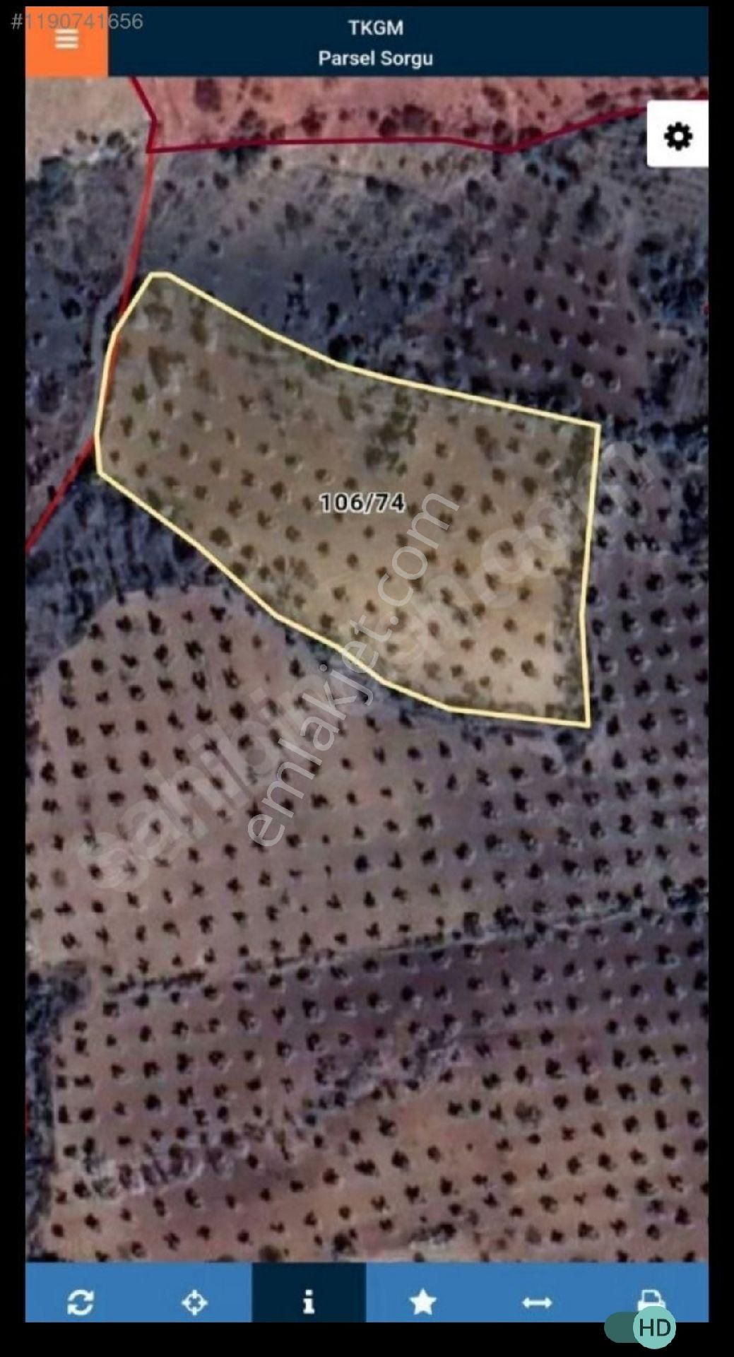 Acil Satılık Zeytinlik Ve Fıstıklık.