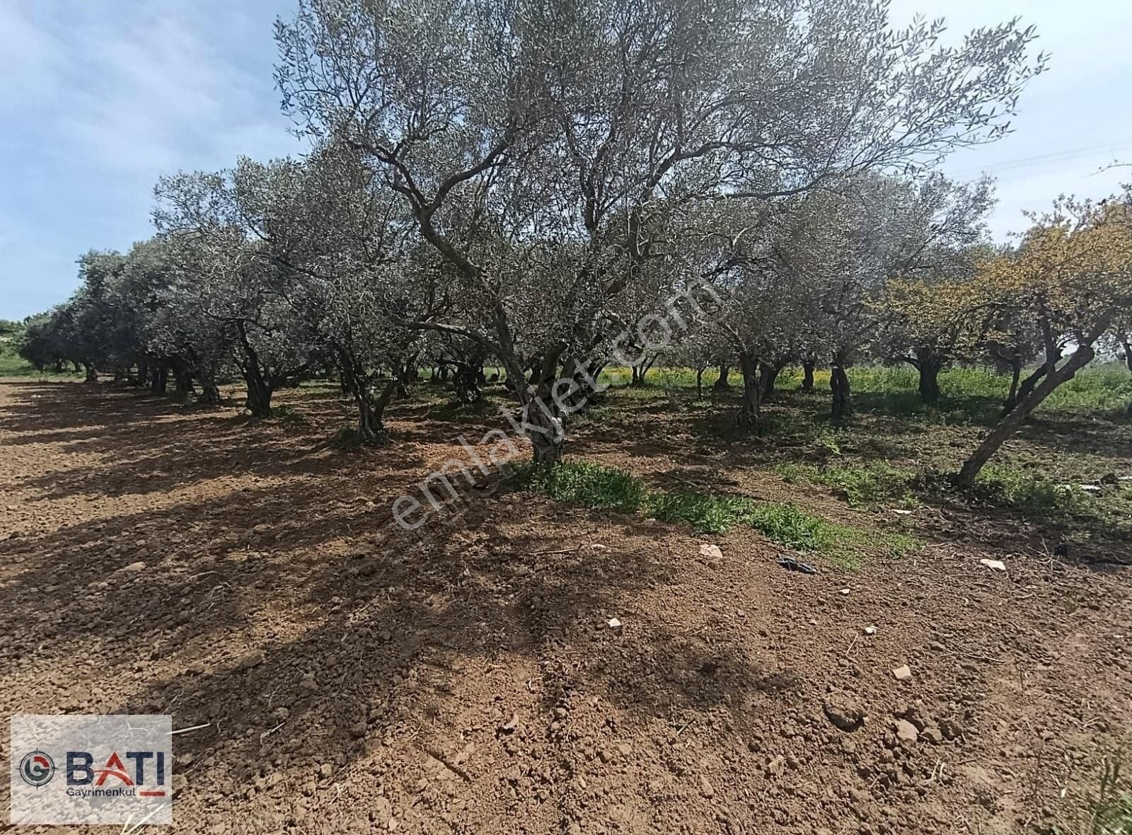 Torbalı Batı Gayrimenkul Den Satılık Tarla - Görsel 11