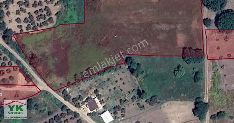 Mudanya Dedeköy Kadastro Yoluna Cephe 7800 M² Tarla - Görsel 2