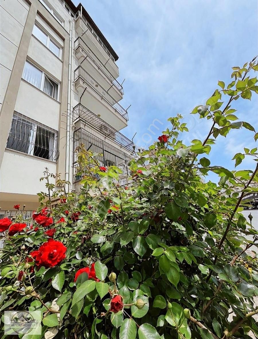 Hilal Gayrimenkul'den Perşembe Pazarı Karşısı Yüksek Giriş*3+1*