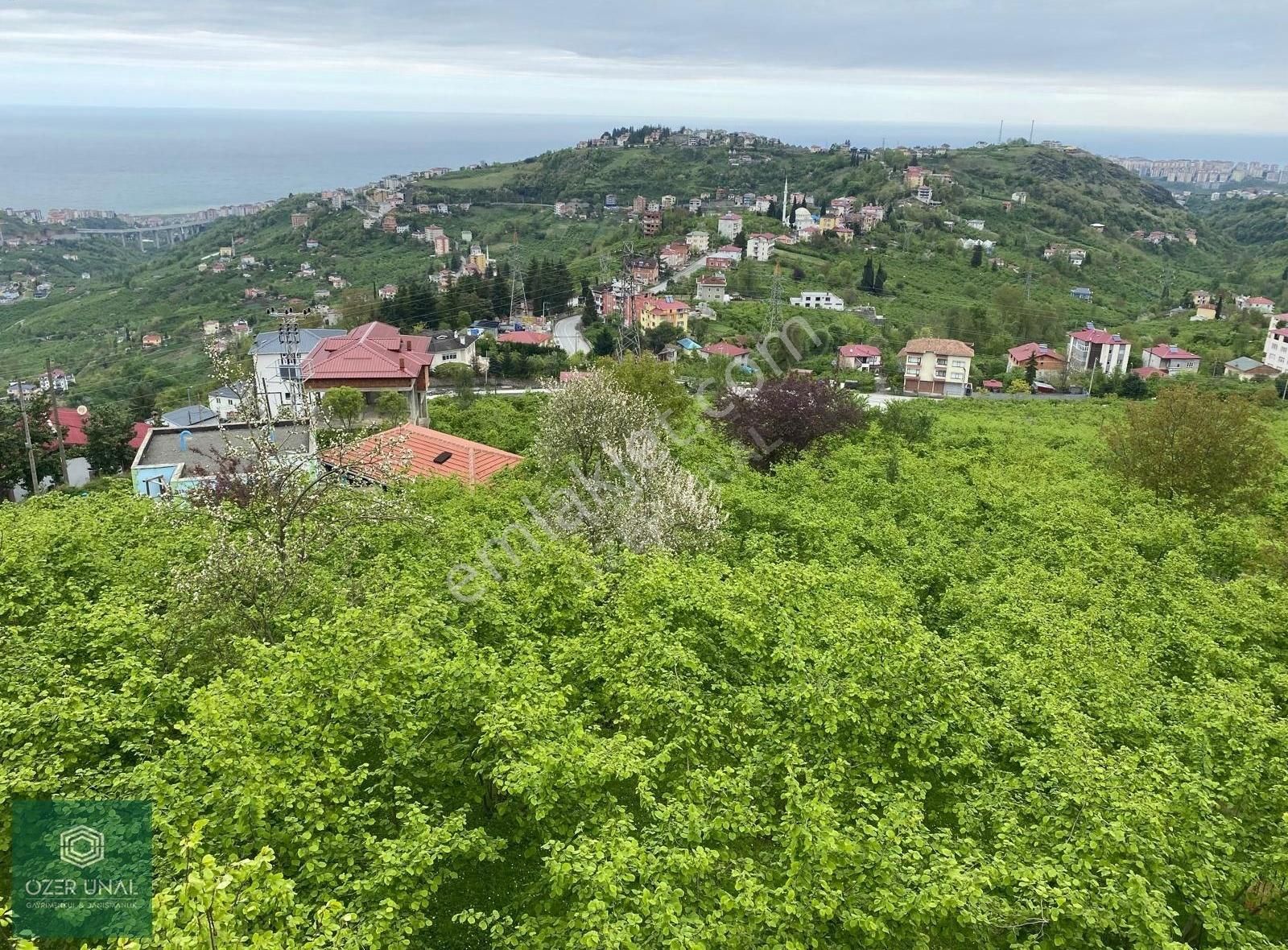 Trabzon Aktoprakta Doğa Manzaralı Villalık Kupon Arsa !