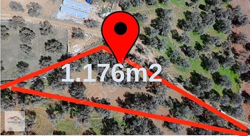 Su Gayrimenkul'den Sakarya Mh. Satılık Deniz Manzaralı Zeytinlik