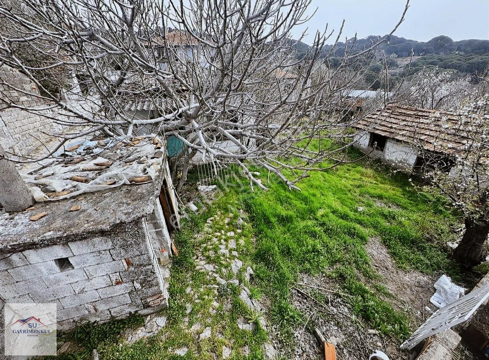 Ayvalık Su Gayrimenkul Kaplanköy'de Satılık Müstakil Ev Ve Arsa