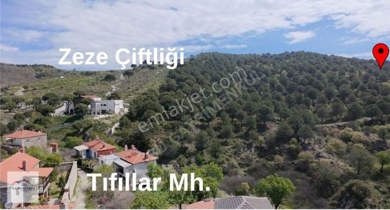 Su Gayrimenkulden Tıfıllar Mh. 19.779 M2 Satılık Fıstıklık