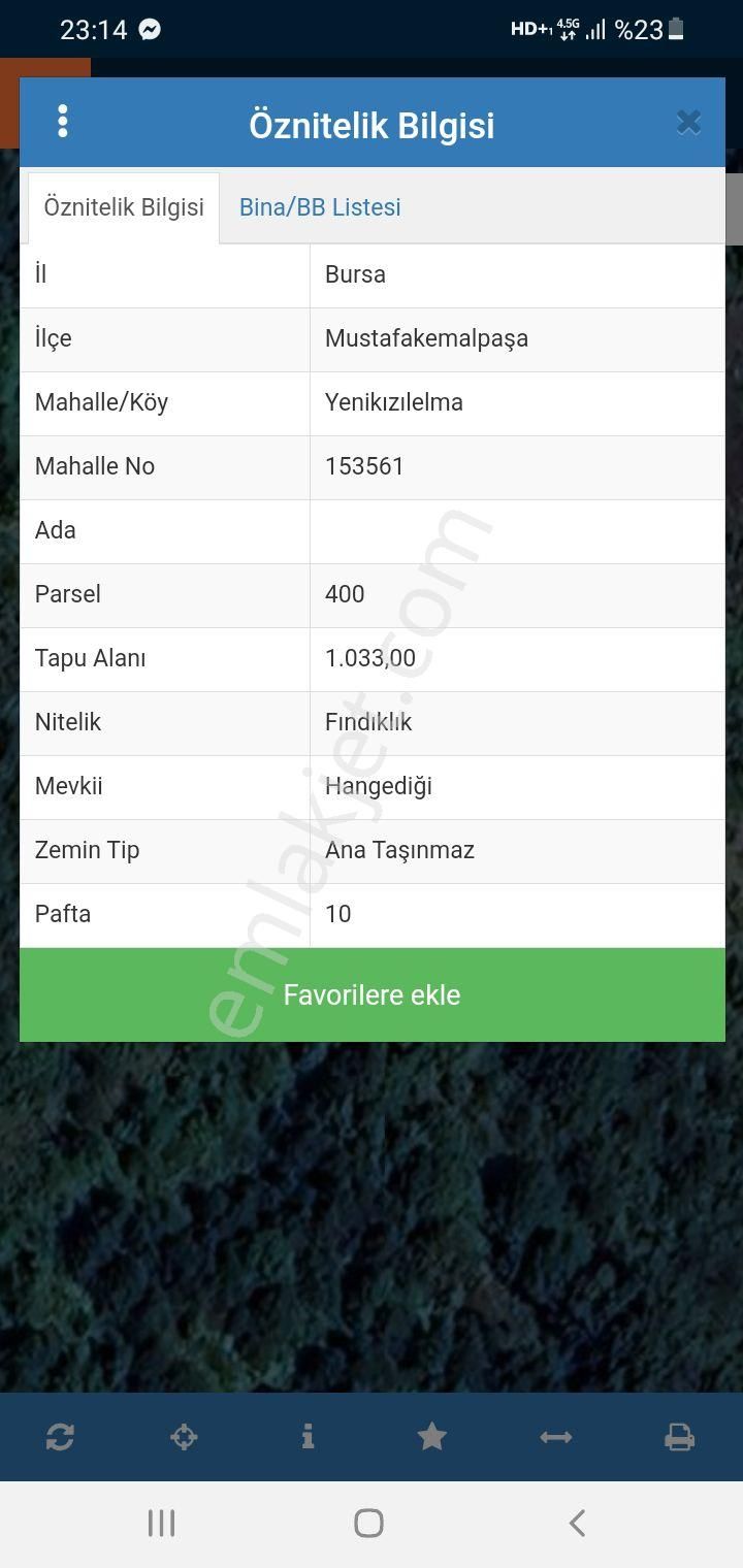 Sahibinden Yatırımlık Fındık Bahçesi
