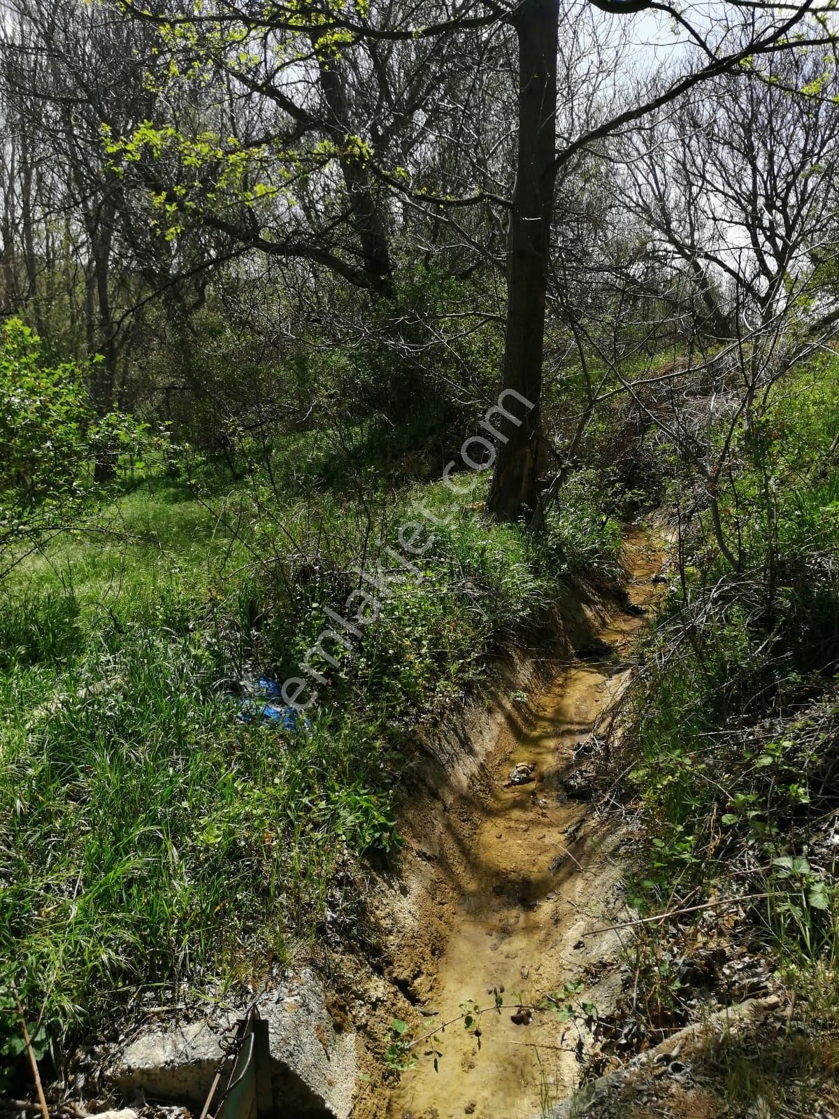 Şehir Emlak Gayrimenkul Den Yeşildere Köyünde Hobilik Bahçe Satılık - Görsel 7
