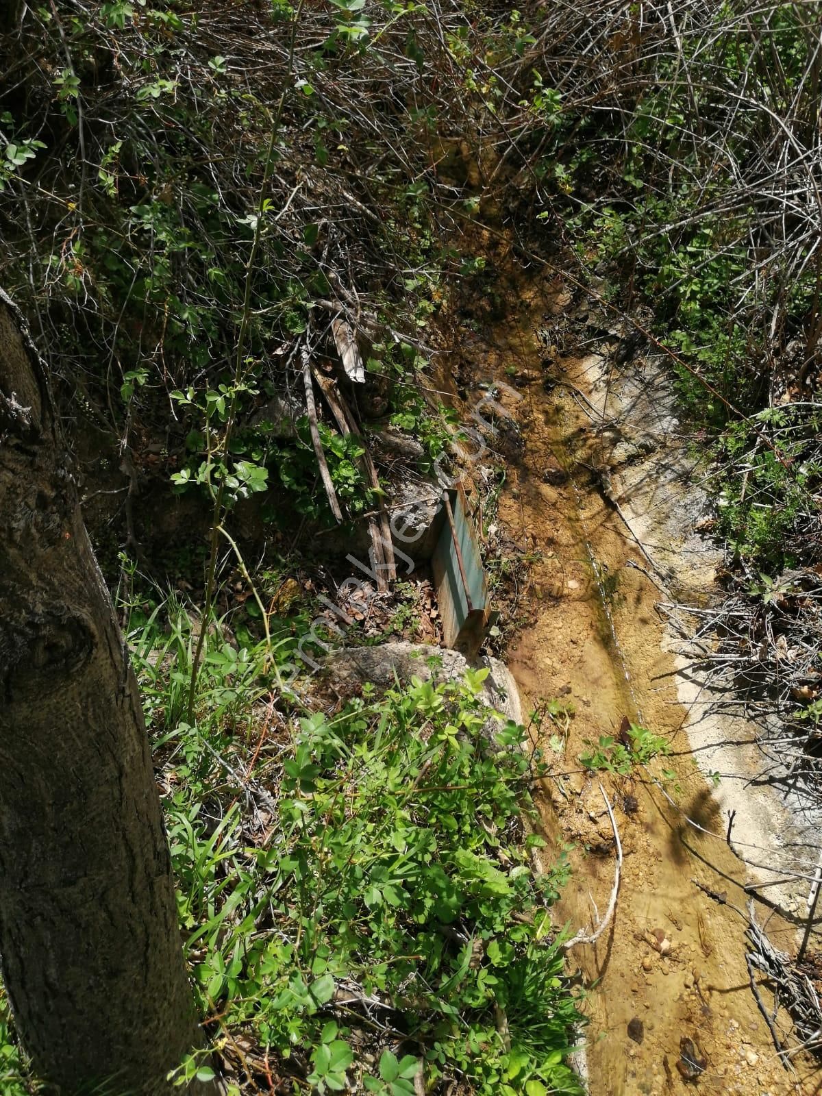 Şehir Emlak Gayrimenkul Den Yeşildere Köyünde Hobilik Bahçe Satılık - Görsel 5