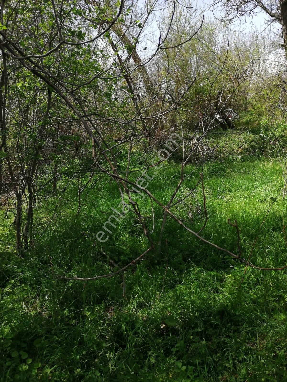 Şehir Emlak Gayrimenkul Den Yeşildere Köyünde Hobilik Bahçe Satılık - Görsel 2