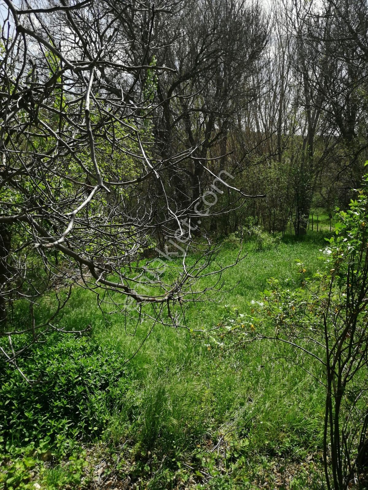 Şehir Emlak Gayrimenkul Den Yeşildere Köyünde Hobilik Bahçe Satılık - Görsel 6