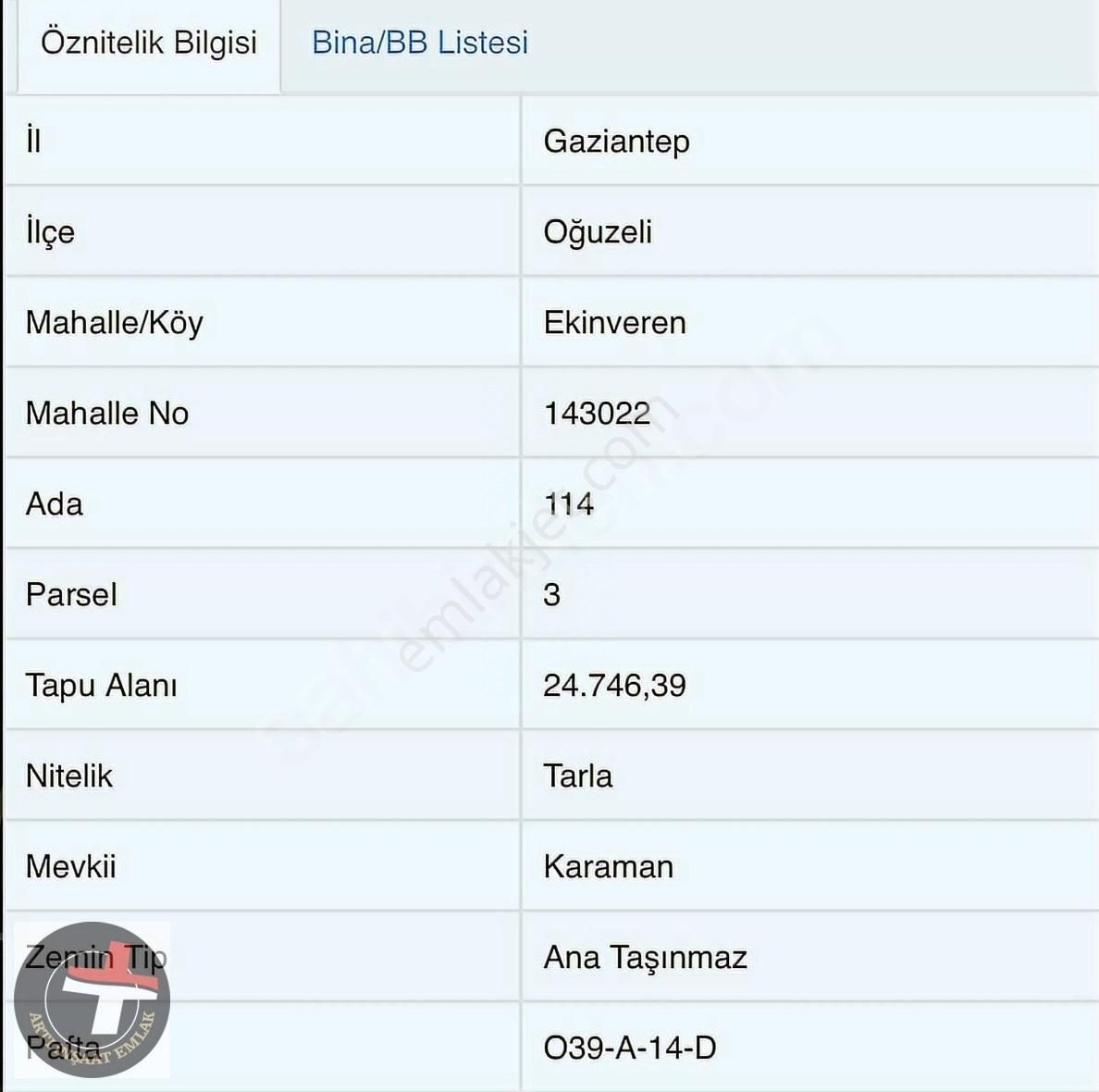 Oğuzeli-ekinveren'de Asfalt Üzeri 50 Yıllık Yetişkin Fıstık