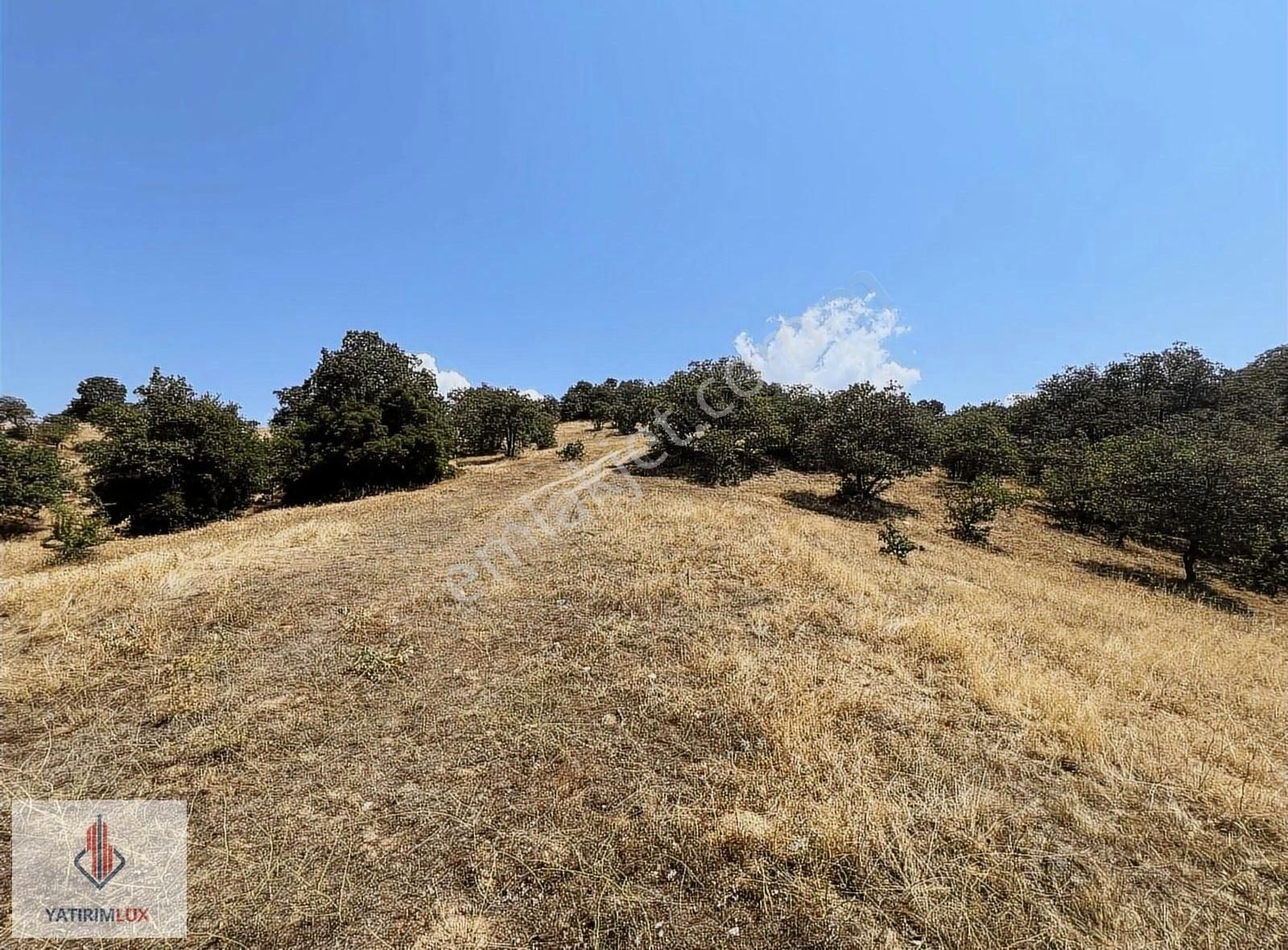 11.850 M2 Tarla