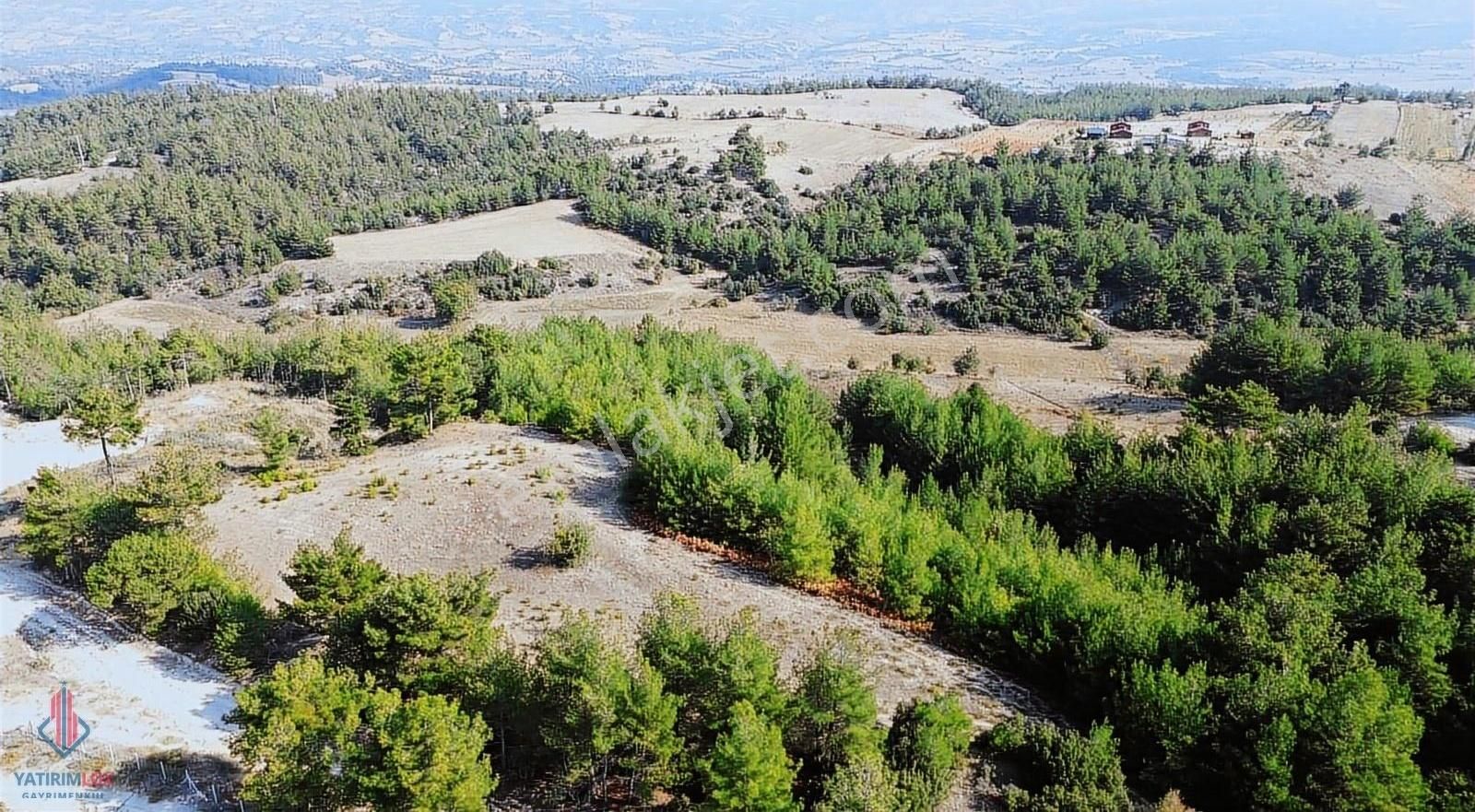 Yatırımlüx'den Buldana 2.5 Km 4.425 M2 Bahçe