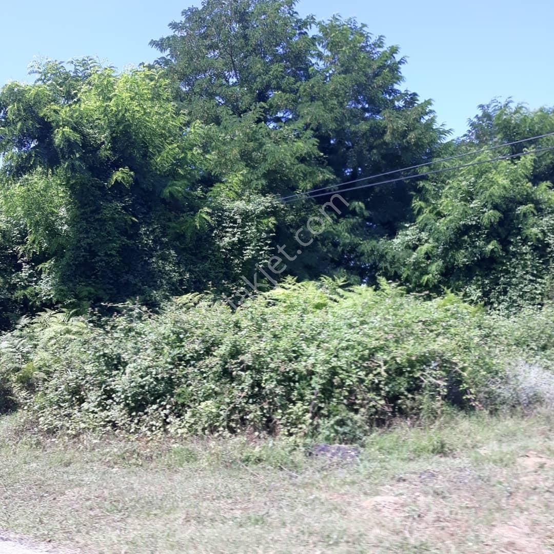 Bursa Osmangazi Çekirge 440m2 Satılık Arsa