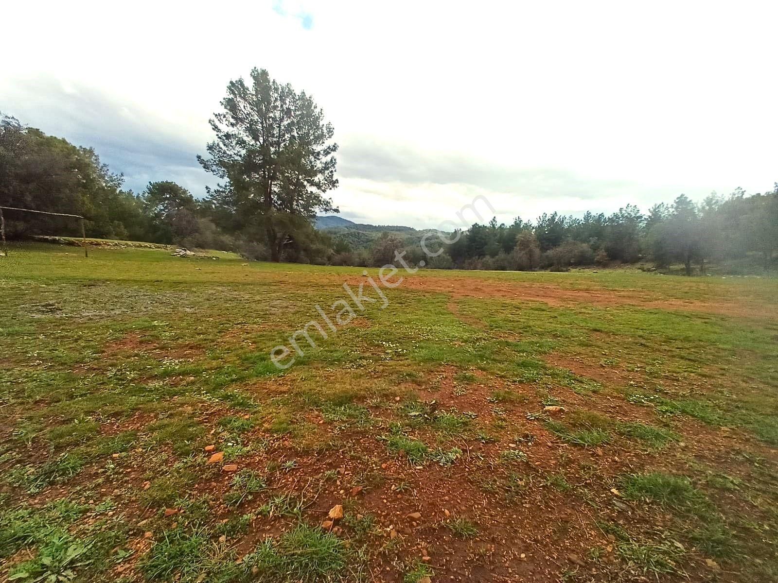 Goldhouse Dan Satılık 2.613m2 İmarlı Arsa Müstakil Parsel - Görsel 4