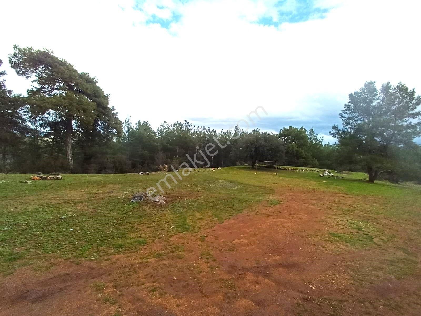 Goldhouse Dan Satılık 2.613m2 İmarlı Arsa Müstakil Parsel - Görsel 5