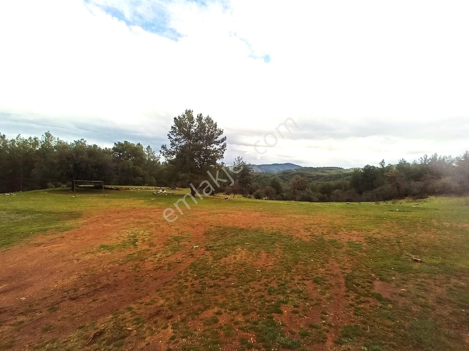 Goldhouse Dan Satılık 2.613m2 İmarlı Arsa Müstakil Parsel - Görsel 3