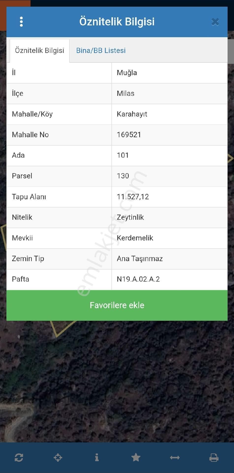 Muğla Milas Karahayıt Satılık 11.500m² Zeytinlik Gökhan Alkaya'dan