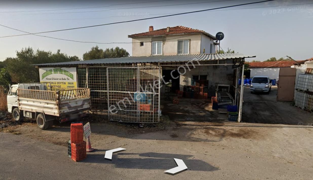 Elfiden Akhisar/seyitahmet Mah' De İçerisinde Zeytin İşletmesi Bulunan Satılık Tarla