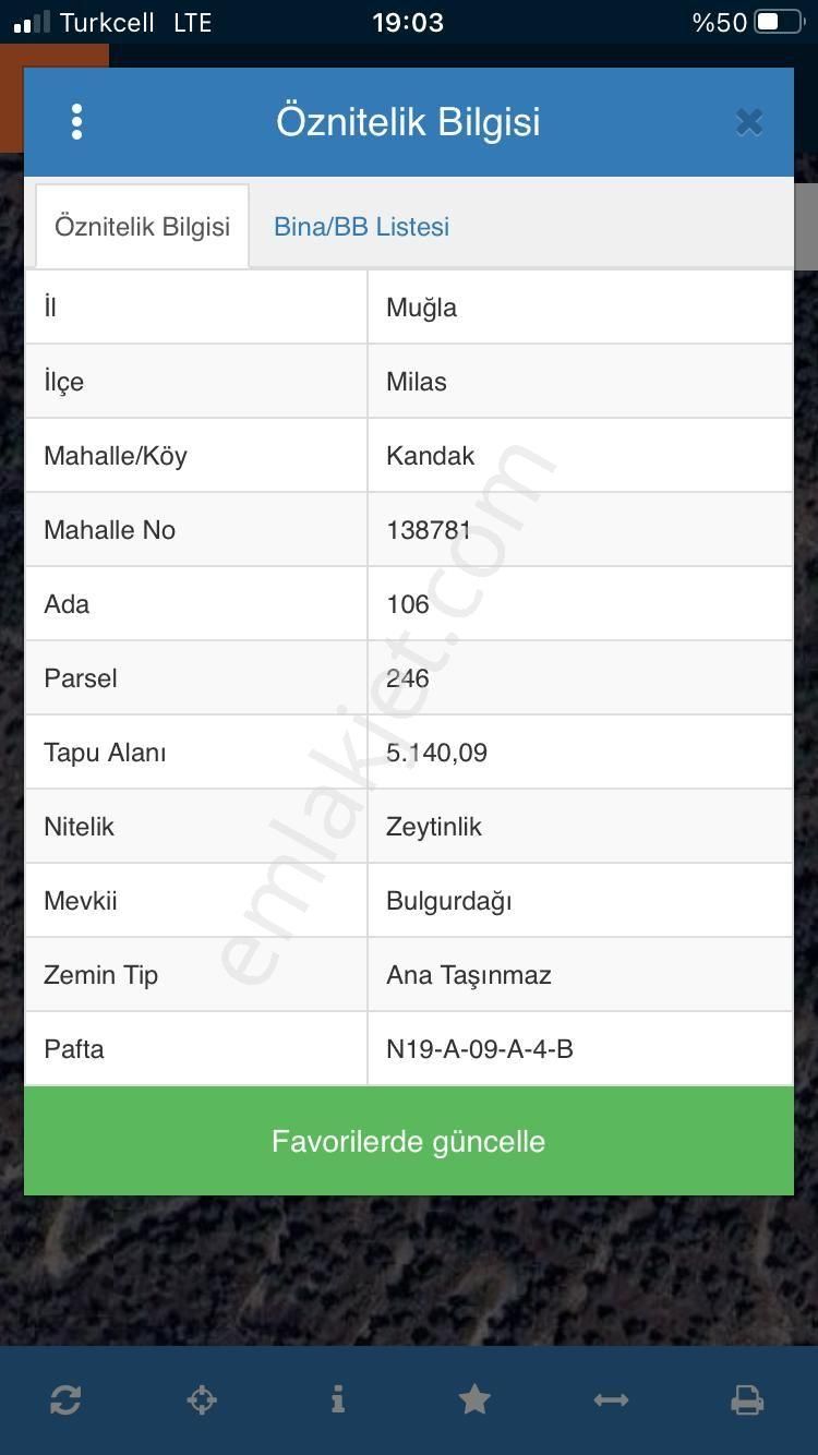 Muğla Milas Kandak Satılık 5.000m² Zeytinlik Gökhan Alkaya'dan