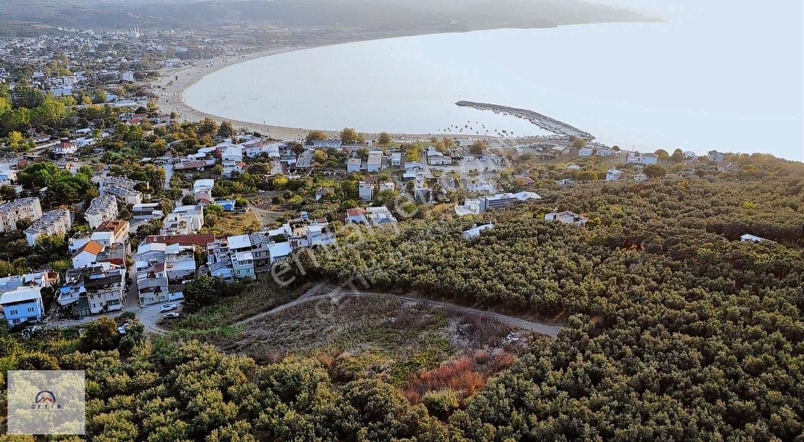 Bursa Mudanya Esence Sahilde Deniz Manzaralı Arazi