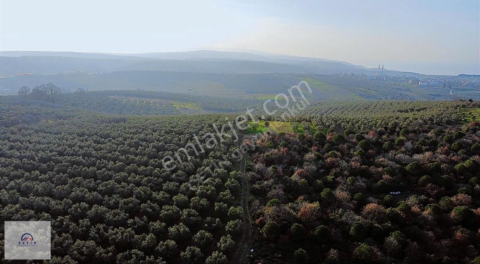 Bursa Mudanya Esence De Yatırımlık Tarla - Görsel 3