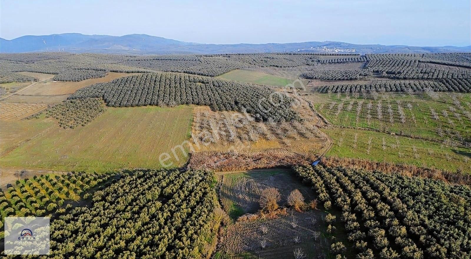 Bursa Mudanya Esence De Yatırımlık Tarla - Görsel 4
