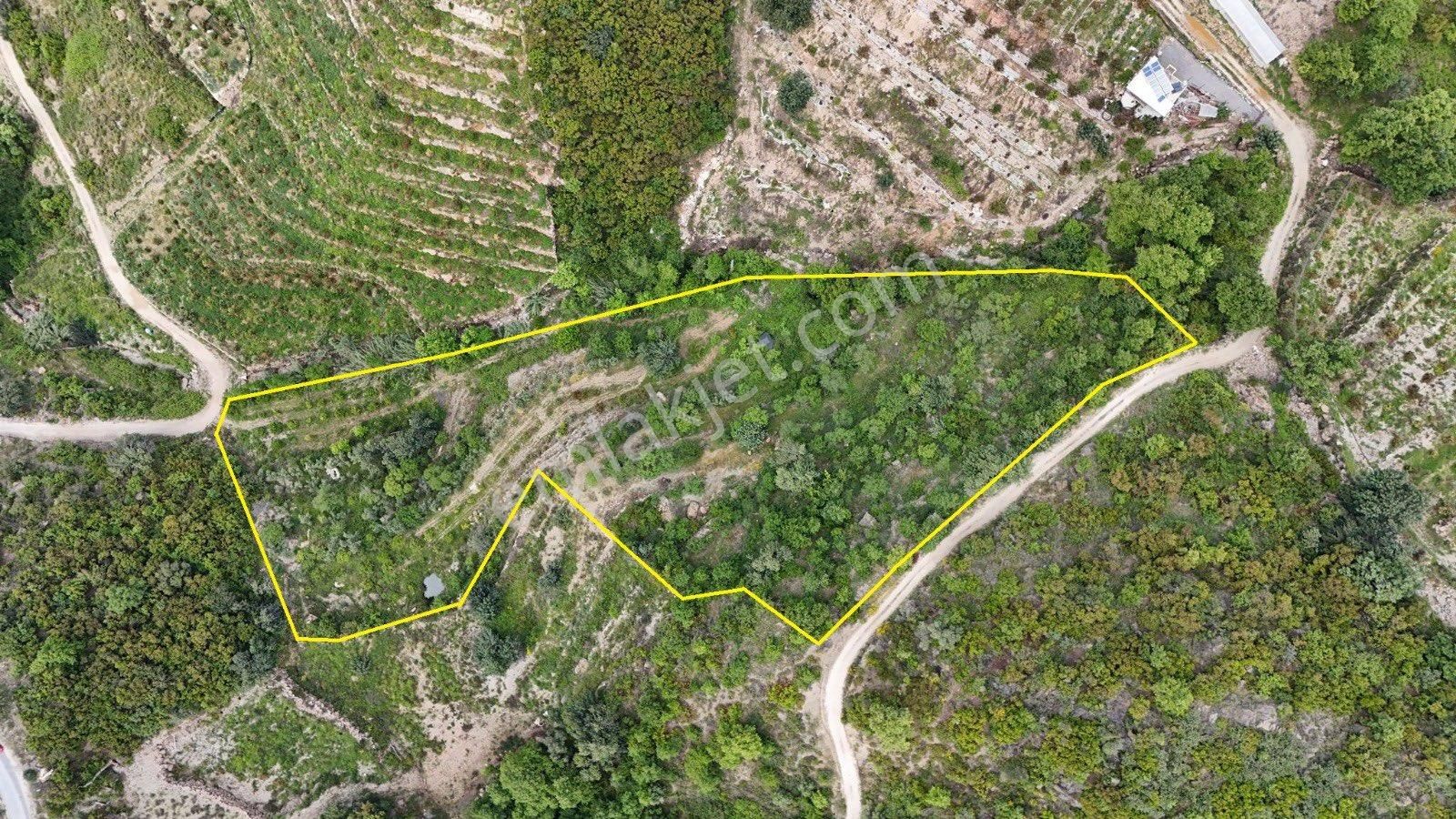 Güneyde 12.238m2 Satılık Tarla