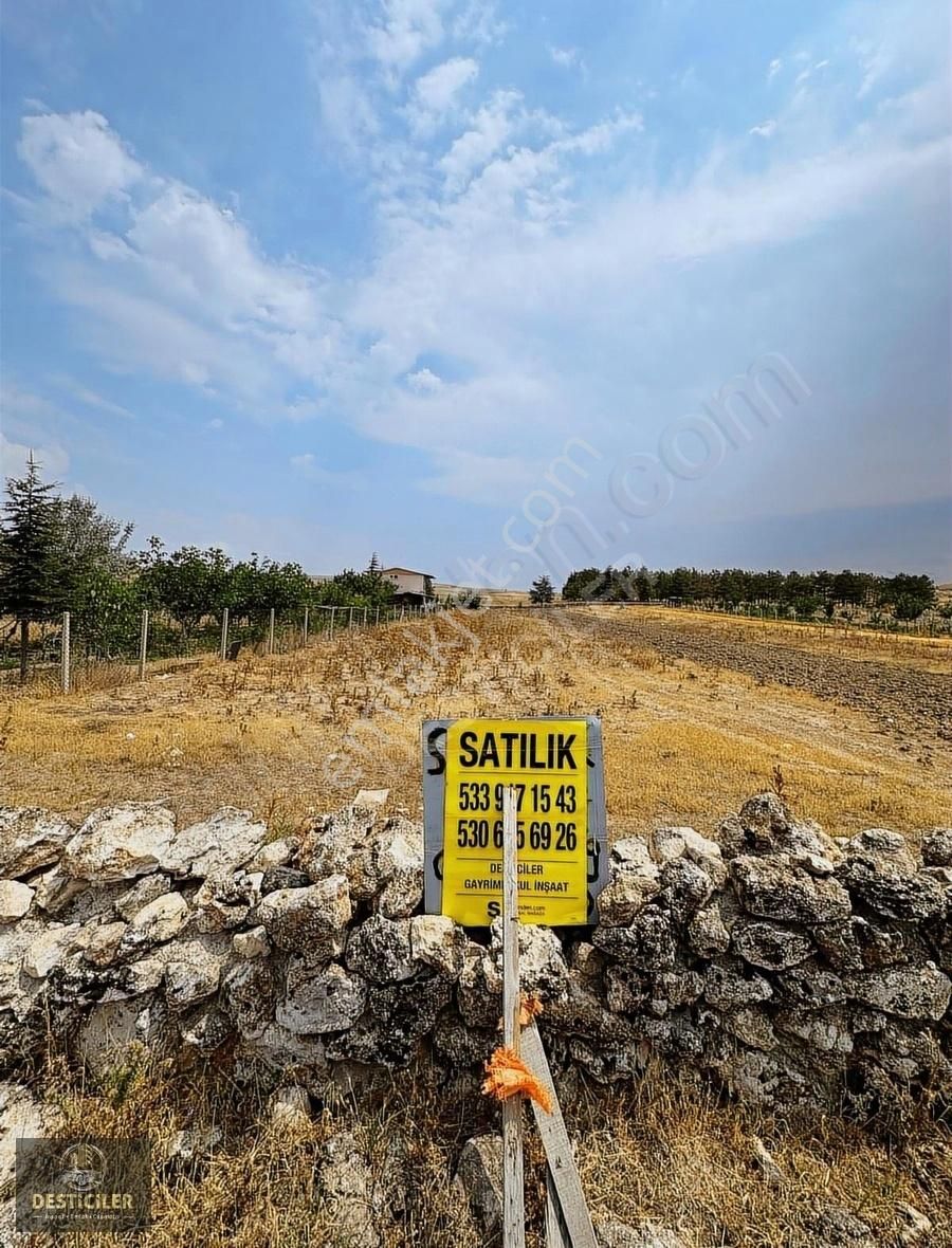 Ed-48 Desticilerden Yörükkaracaören De Tek Tapulu Bahçe