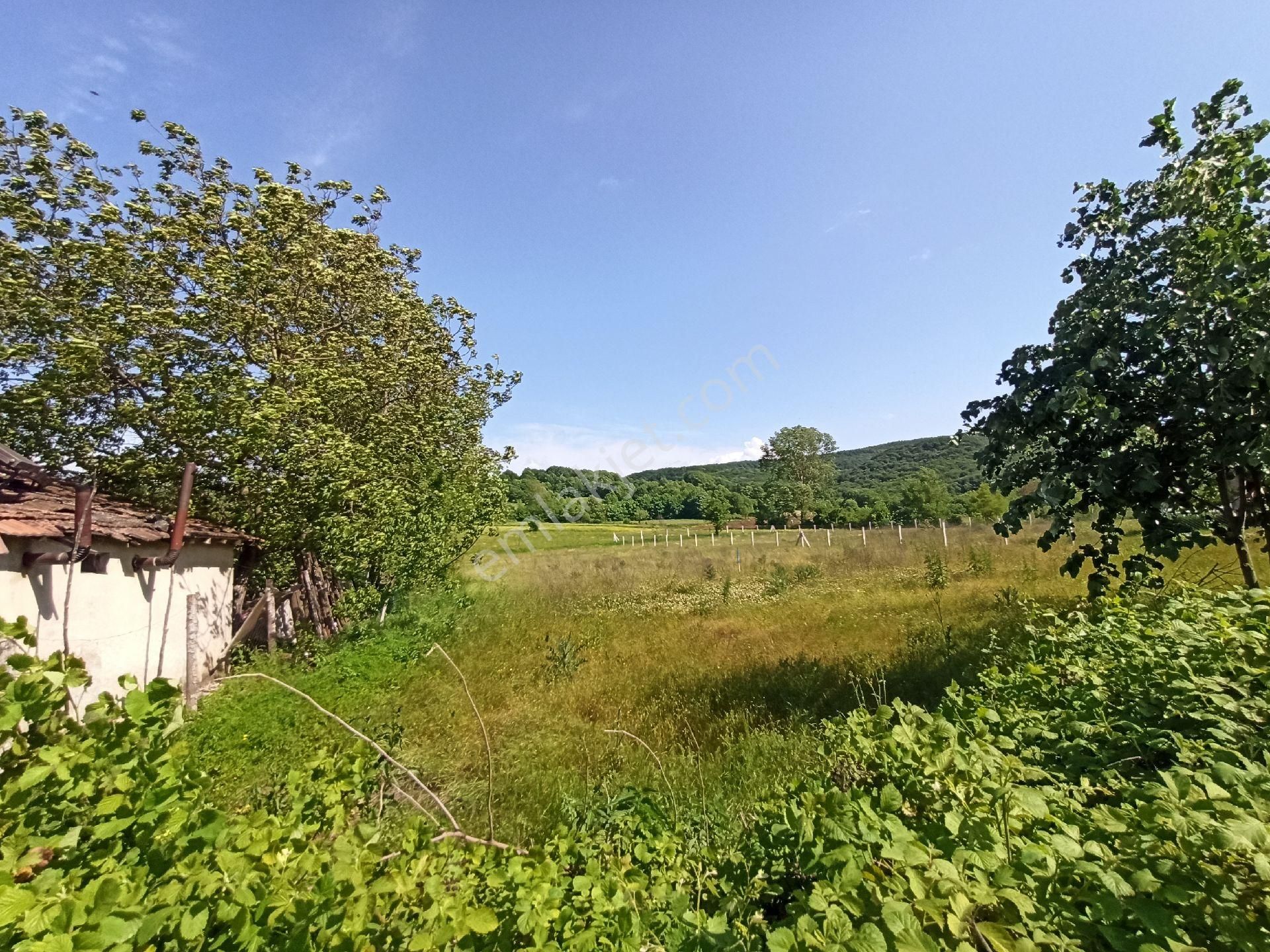 İnceoğlundan Muradiyesarnıçta 970 M² Villa İmarlı Arsa Fırsatı! - Görsel 9