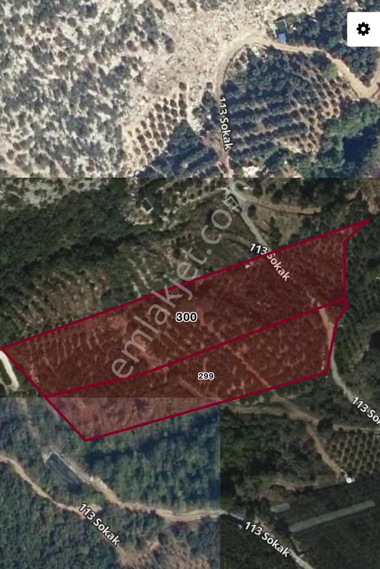 Arveden Darısekisinde Tarım Hazinesi Fırsat Kiraz Bahçesi