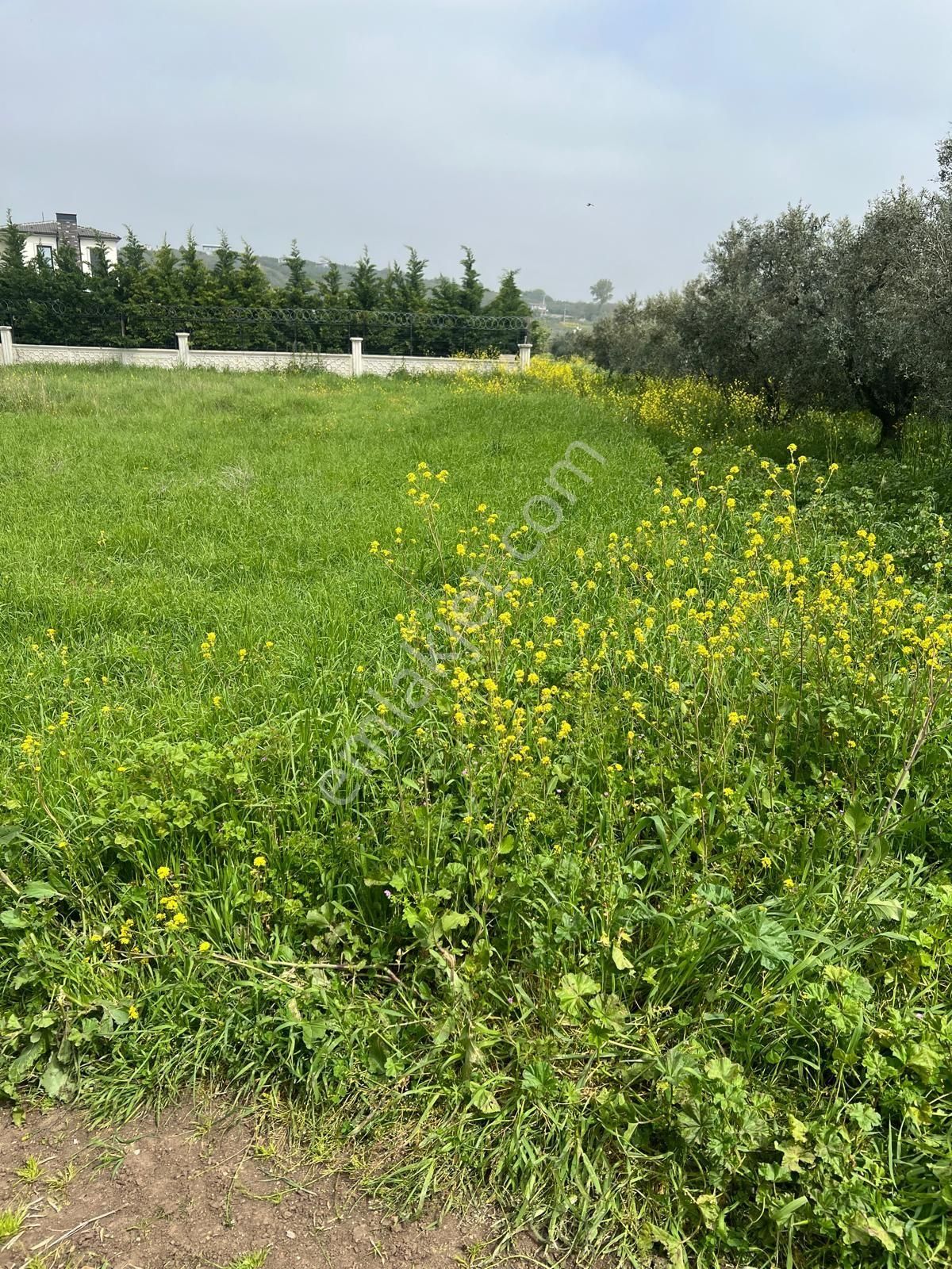 Karacabey Eskikaraağaçta Göl Manzaralı Satılık Arazi - Görsel 7