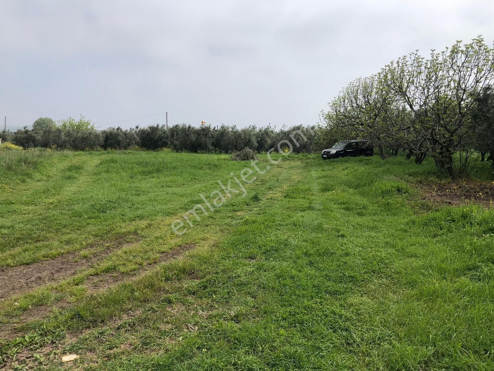 Karacabey Eskikaraağaçta Göl Manzaralı Satılık Arazi - Görsel 10