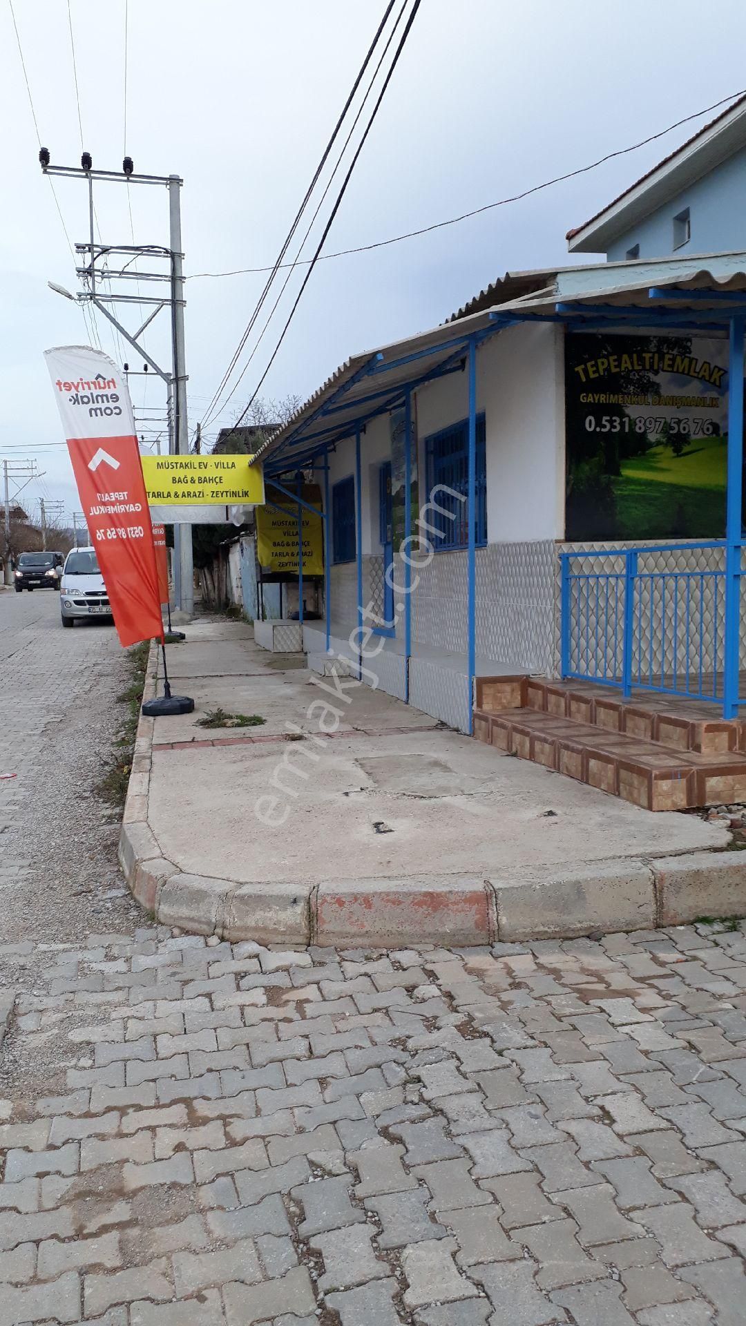 Seferihisar Yeni Orhanlıya Yürüme Mesafesinde Resmi Yolu Olan 18dönüm Zeytinlik - Görsel 20
