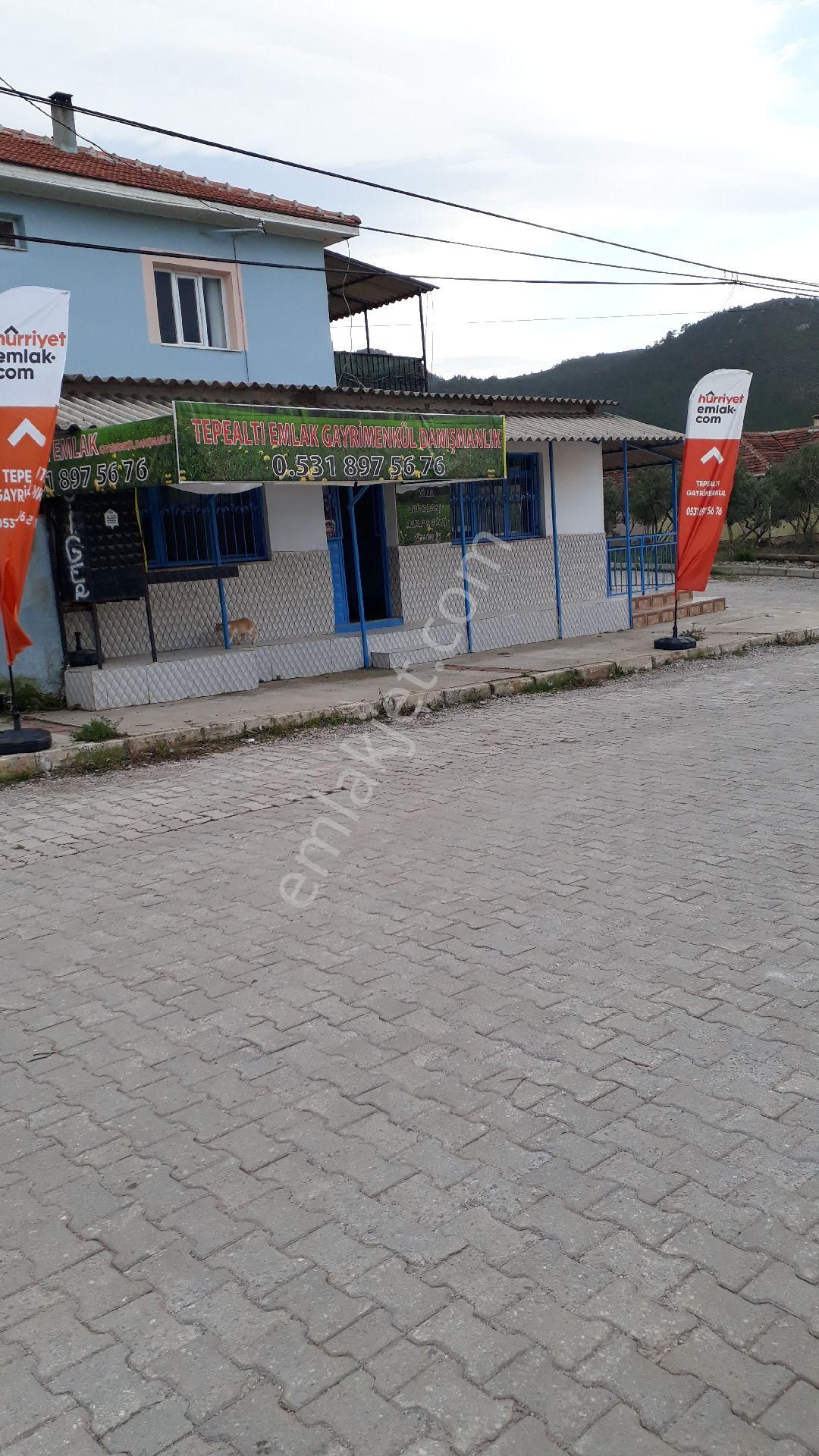 Seferihisar Yeni Orhanlıya Yürüme Mesafesinde Resmi Yolu Olan 18dönüm Zeytinlik - Görsel 19