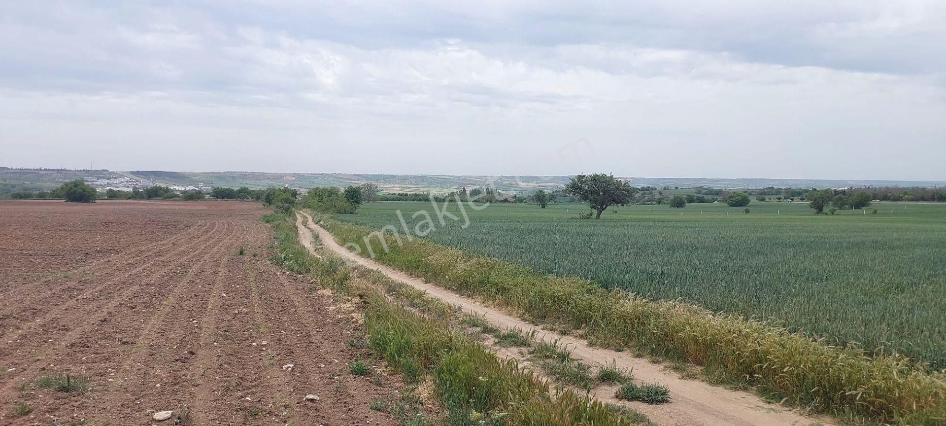 Kırklareli/merkez Haticehatun Mahallesinde Satılık Tarla