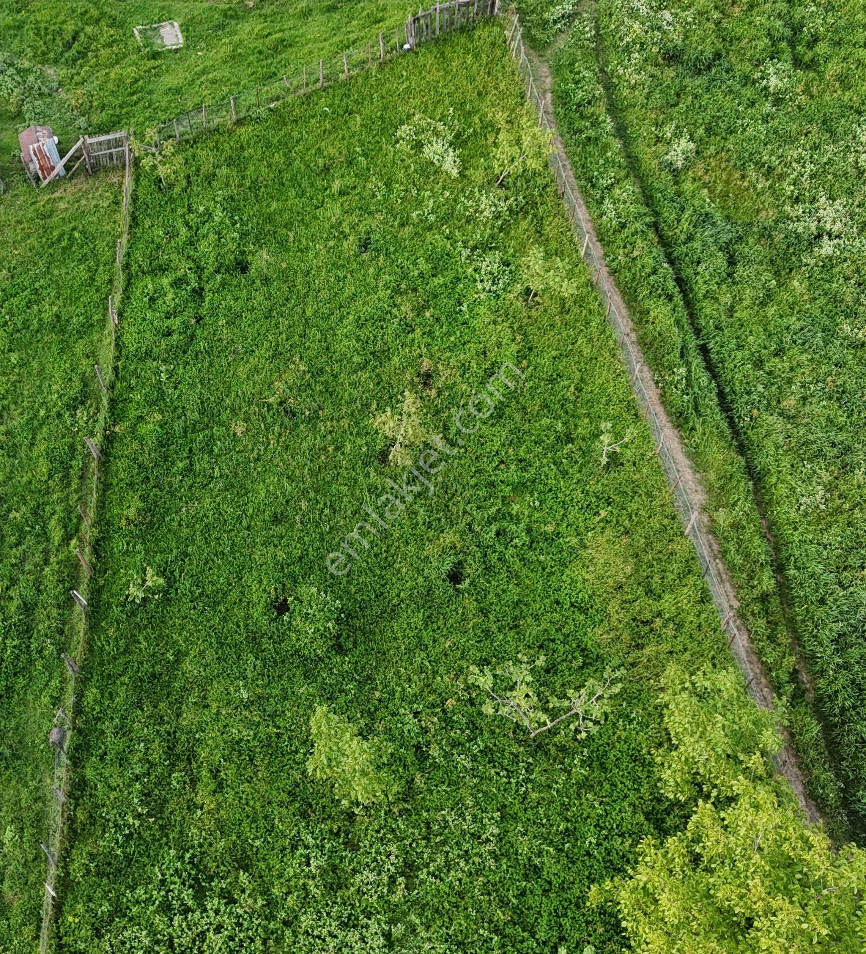 Gölcük Hisareyn Merkez Mahallesinde 444 M2 Satılık Tarla