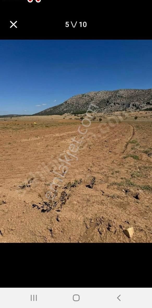 2159 M² Dogusu Batisi Yol - Görsel 10