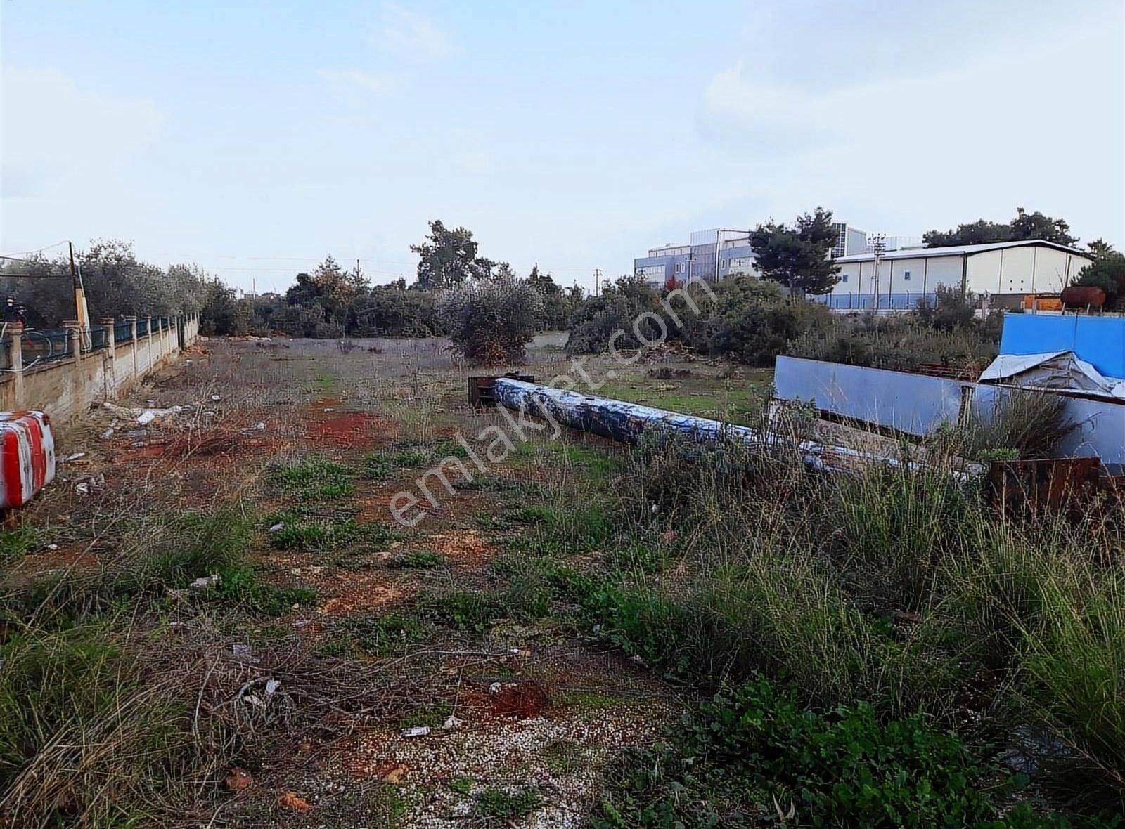 Akdenız Bul. 39 Metre Cephelı 3100 M² - Görsel 3