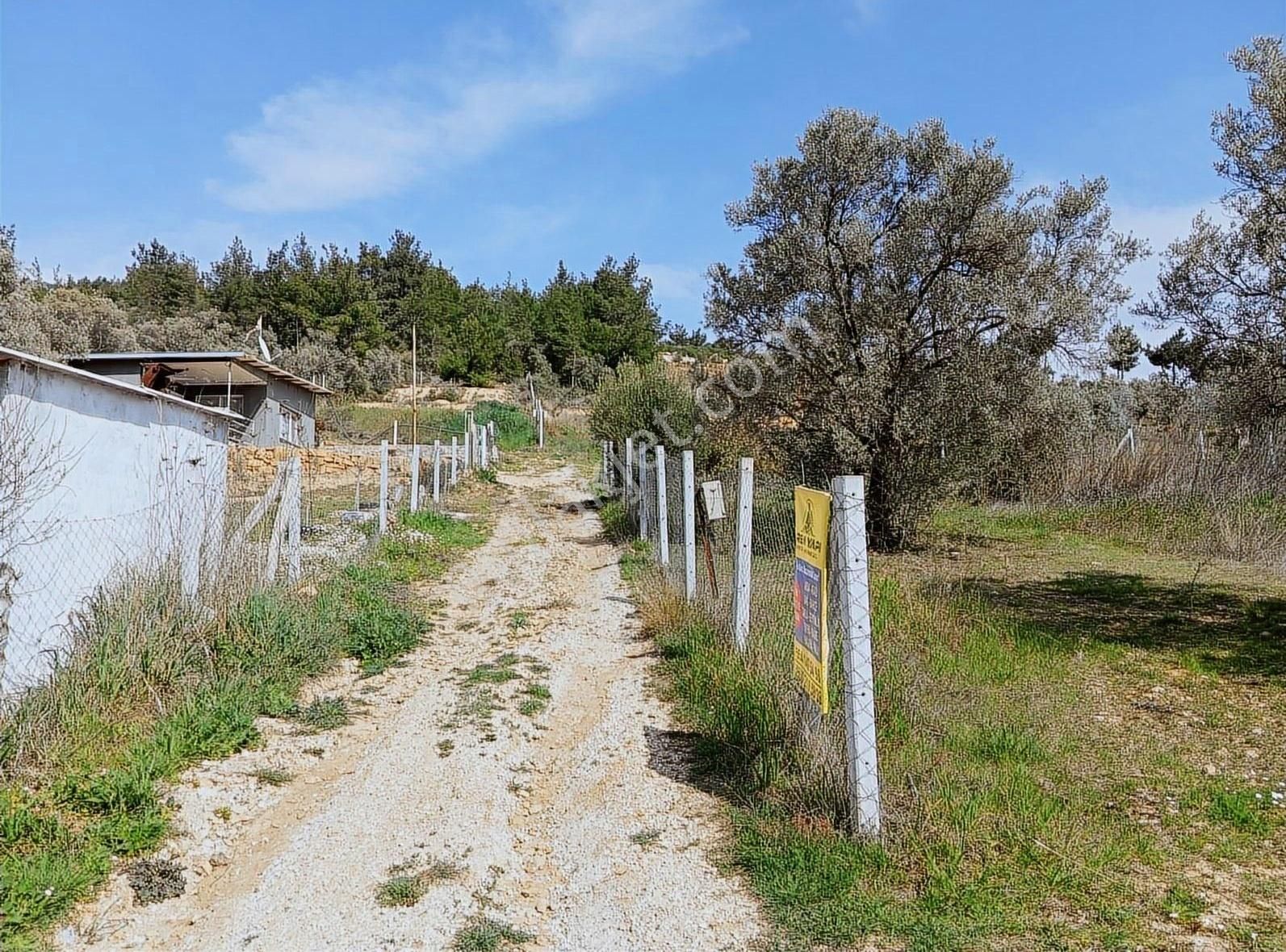 Torbalı Dirmilde Tapudan Satışli 834m² - Görsel 5