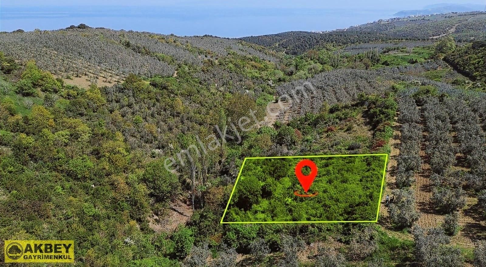 Akbey'den Mudanya Mesudiye'de Tek Tapu 2000m² Yatırımlık Arazi